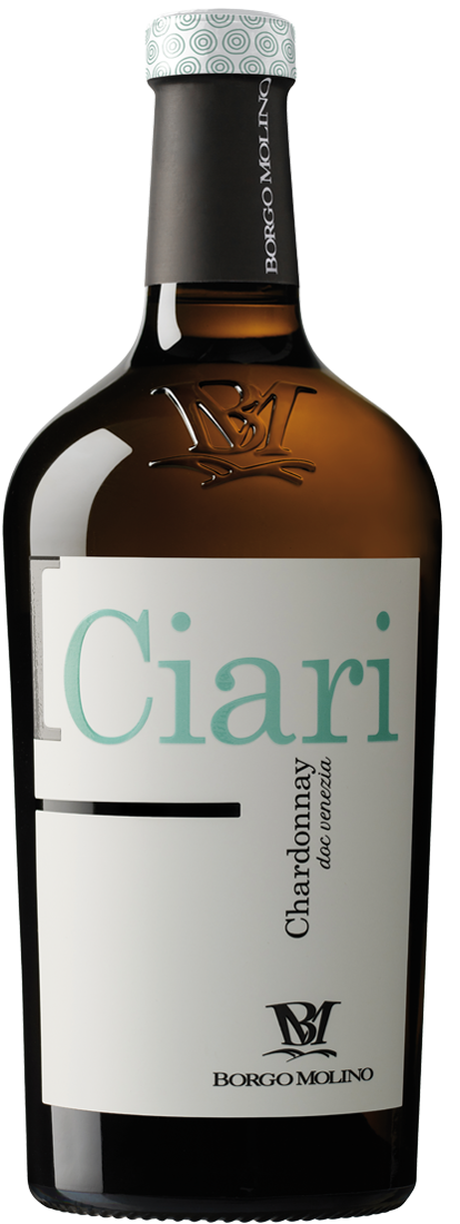 Chardonnay Venezie DOC