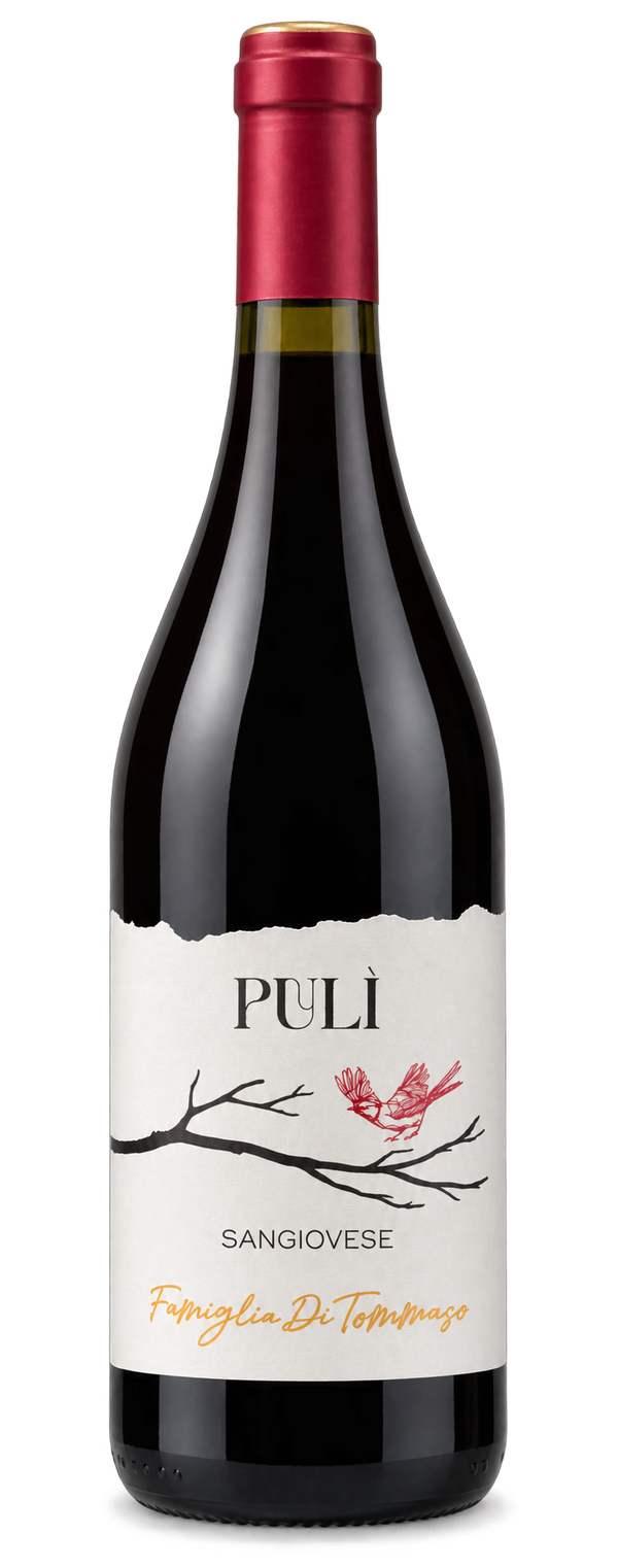Sangiovese Terre di Chieti IGP Pulì