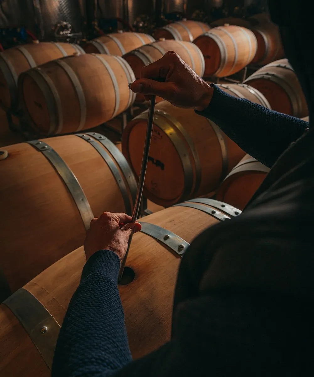 New Wine additions for Autumn 2026