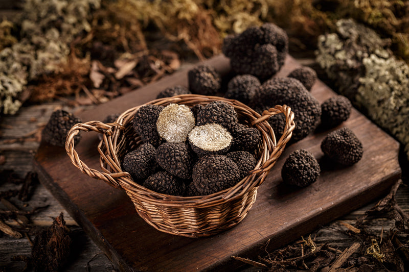 Truffle