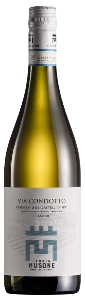 Verdicchio dei Castelli di Jesi DOC Classico Superiore Via Condotto