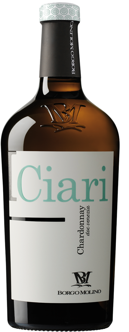 Chardonnay Venezie DOC