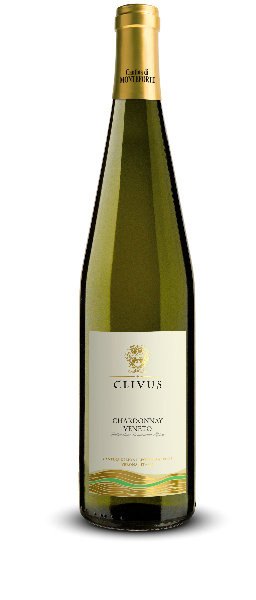 Chardonnay IGT - Clivus