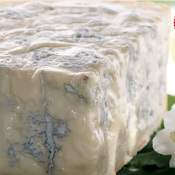 Gorgonzola Dolce 1.5kg