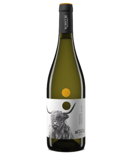 Pinot Grigio IGT Terre d’Abruzzo