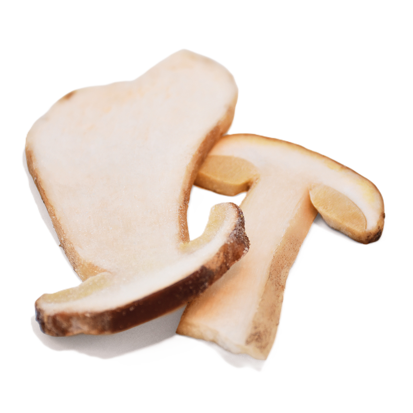 Porcini - Sliced Frozen Mushrooms 1kg