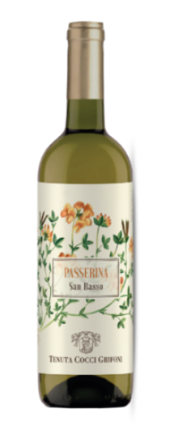 Passerina San Basso IGT - Tenuta Cocci Griffoni