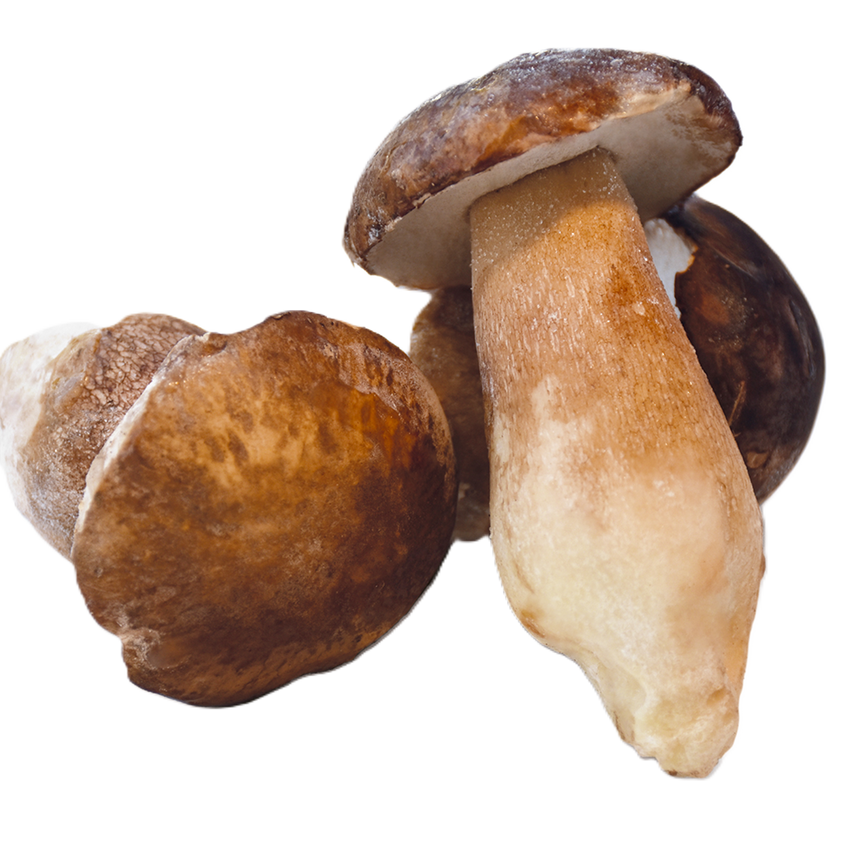 Porcini - Whole Frozen Mushrooms 1kg