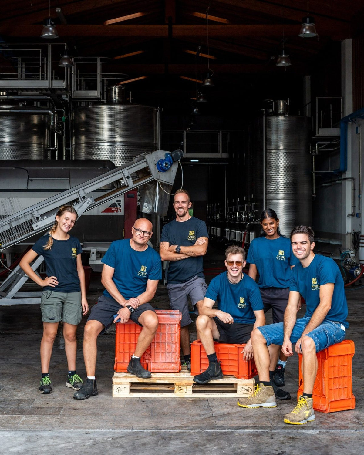 The Avanzi cellar team sitting on harvest crates in front of the steel tanks