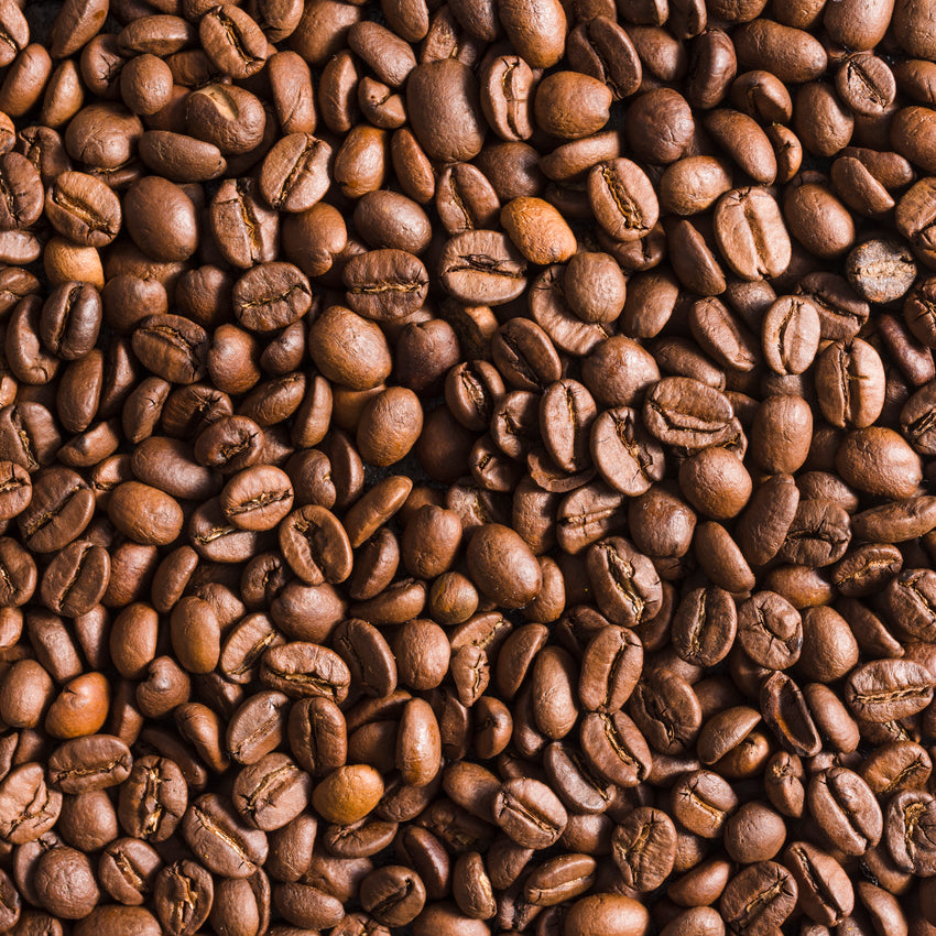 Excelsior Premium Coffee Beans 6 x 1kg - La Tazza D’Oro