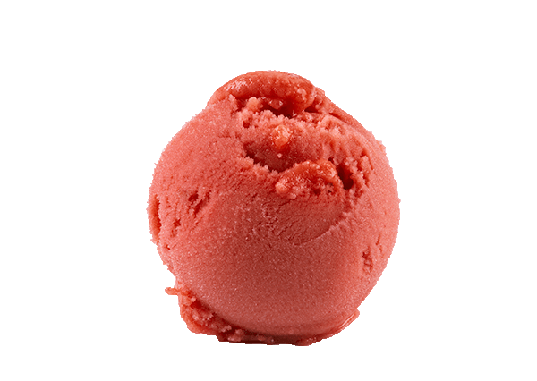 Blood Orange Sorbet