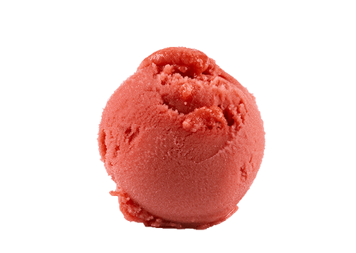 Blood Orange Sorbet