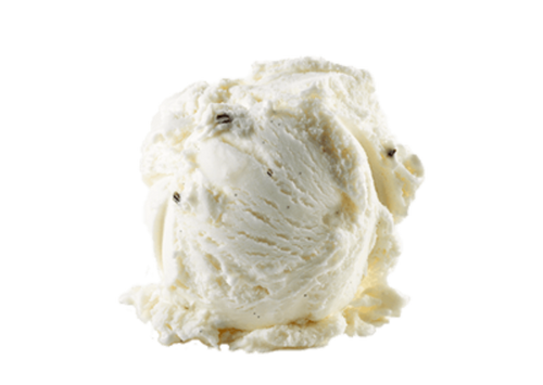 Vanilla Madagascar Gelato