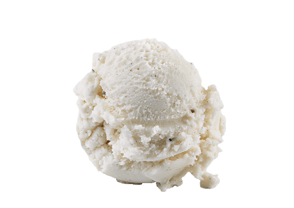 Vegan Vanilla Gelato