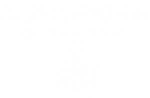 Albino Piona logo