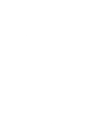 Cantine Fina logo