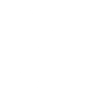 Consorzio San Michele logo