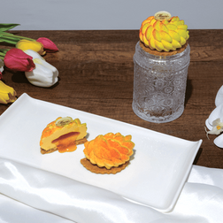 Tropical Mono - Macri