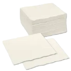 Serviettes 1ply x 5000